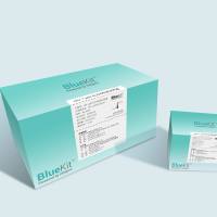 HIV-1 p24 ELISA检测试剂盒