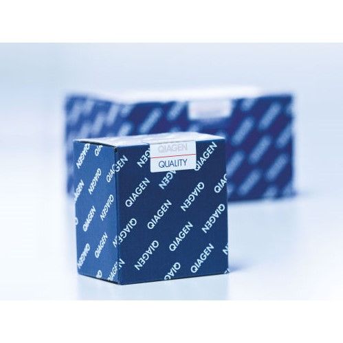 凯杰Qiagen150025微量样本全基因组扩增试剂盒REPLI-G Kits 100T/盒