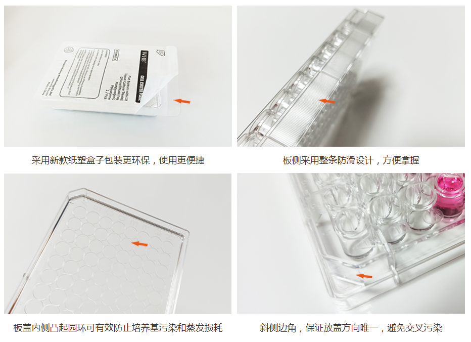 TC处理透明24孔细胞培养板，吸塑盒，灭菌