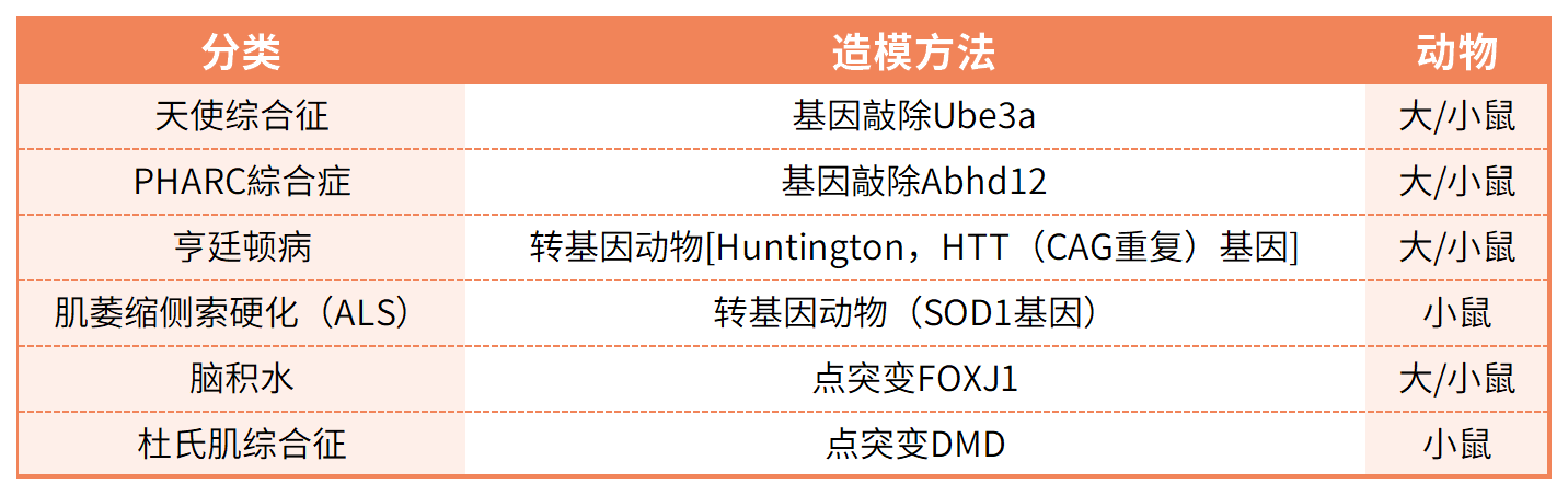 产品细节图片13