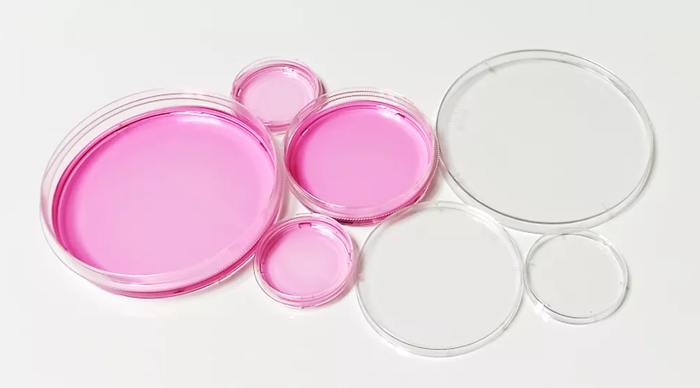 TC处理透明60mm细胞培养皿，易握边，灭菌