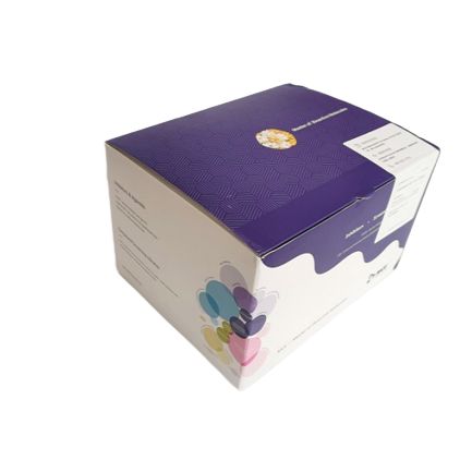 LDN193189 是一种有效的选择性 BMP I 型受体抑制剂。