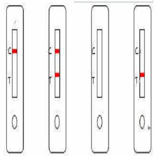 登革热抗原检测试剂盒(胶体金法)