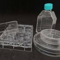 多聚D赖氨酸包被T25培养瓶