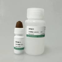 DAB显色试剂盒