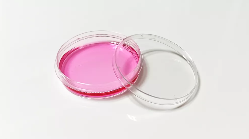 TC处理透明60mm细胞培养皿，易握边，灭菌