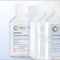 Cellntec 上皮细胞培养基 CnT-PR