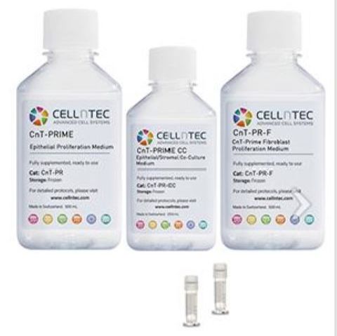 Cellntec 培养基添加物 CnT-ISO-50