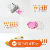 胶原包被96孔培养板，灭菌