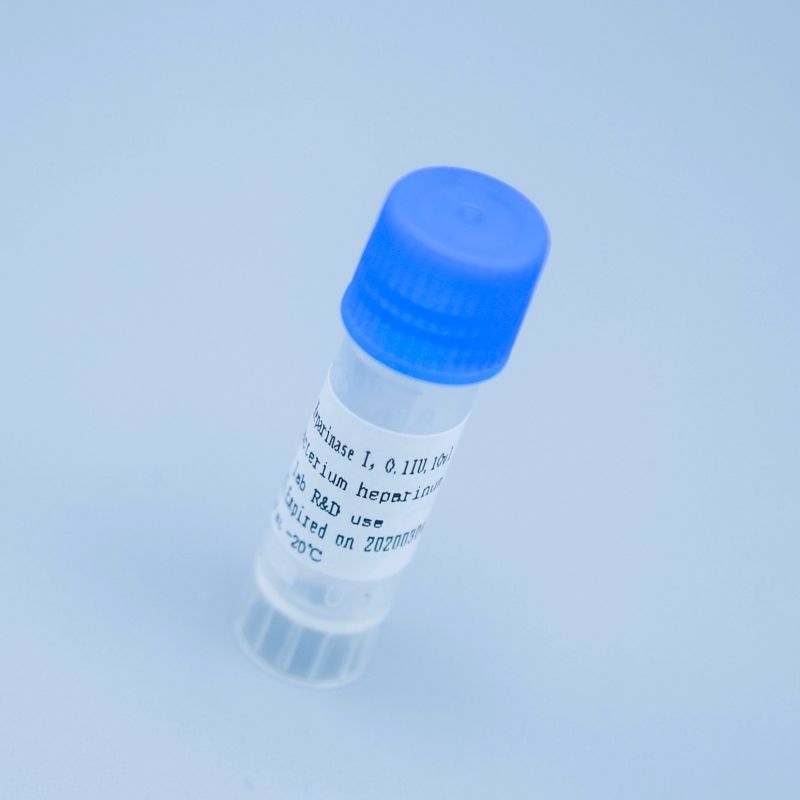 肝素酶III-EP,来源于肝素黄杆菌