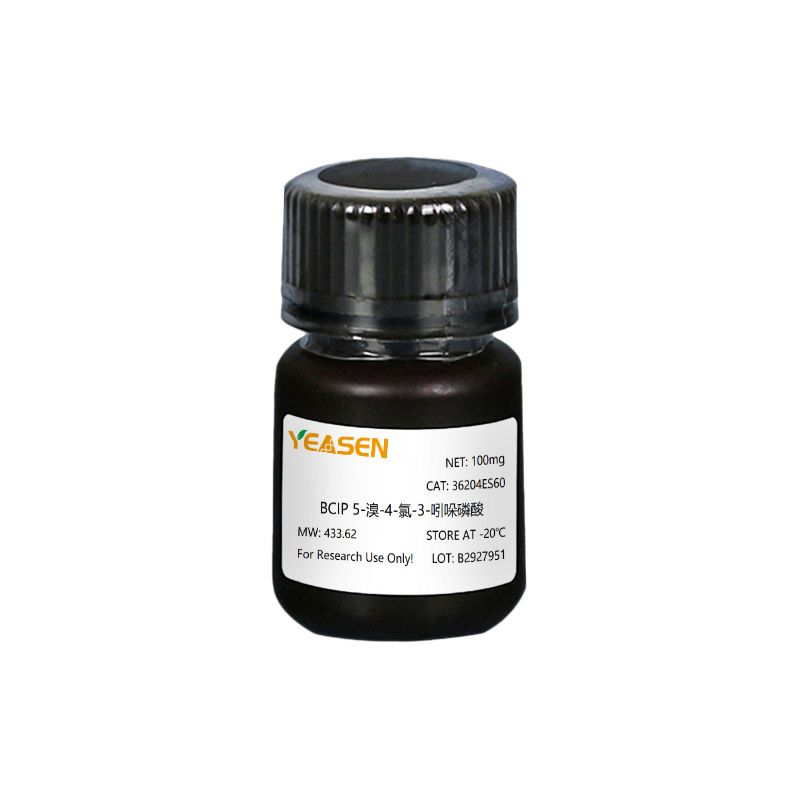 BCIP,P-toluidine Salt 5-溴-4-氯-3-吲哚磷酸,对甲苯胺盐