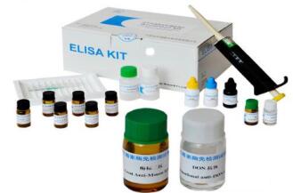 关于温育在ELISA检测中必须掌握的方面
