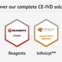 Cytognos CYT-LAC750 Lambda 流式抗体