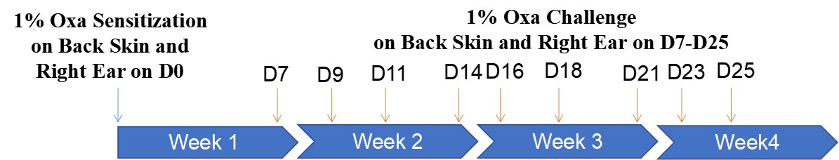 全面解析!哮喘和特应性皮炎的强势靶点IL-4R