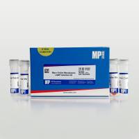 可视化支原体LAMP检测试剂盒