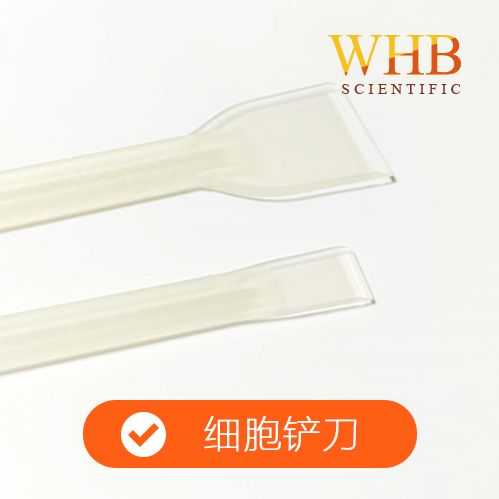 WHB 卧宏 双头细胞铲刀，柄长21cm，纸塑袋装，灭菌