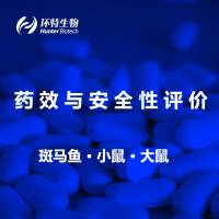临床前实验、药物筛选、药物药效评价检测项目表