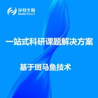 基于斑马鱼技术的一站式科研课题解决方案丨环特生物