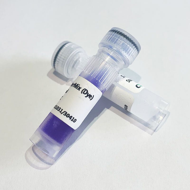 2×Flash PCR MasterMix (Dye)