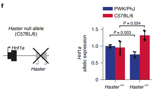 Nat Cell Biol：糖尿病疗法新靶点！（2）