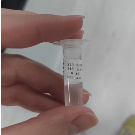 M13 mp18 Single Strand DNA