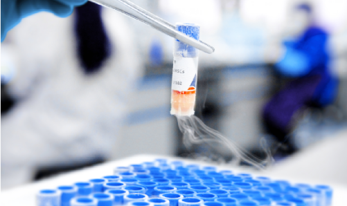 浅谈细胞冻存与复苏