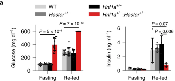 Nat Cell Biol：糖尿病疗法新靶点！（2）