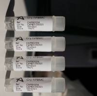 外周血PBMC上海雅裕生物13611631389上海睿安生物