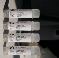 冻存hPBMC上海雅裕生物19121878899上海睿安生物