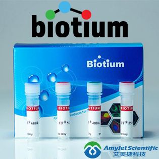 HCG-beta(HCGb/211), Biotin conjugate, 0.1mg/mL|HCG-beta(HCGb/211), Biotin conjugate, 0.1mg/mL