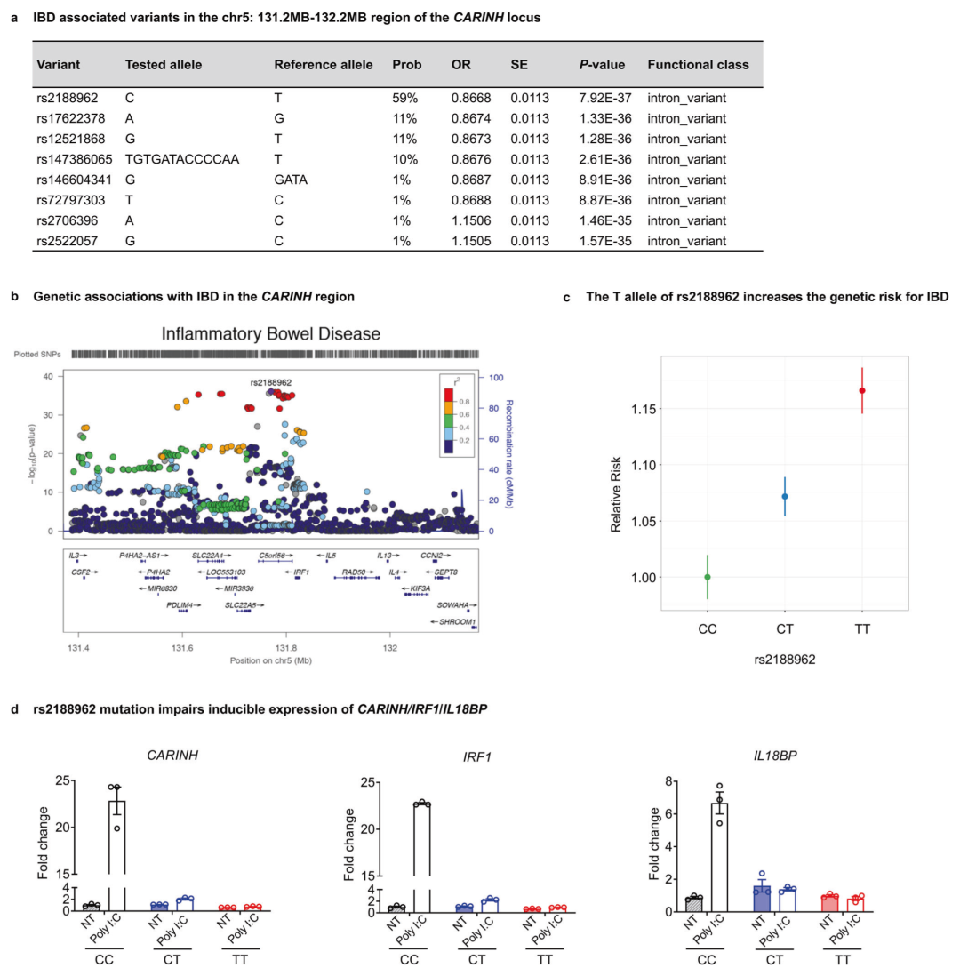 lncRNA研究进展盘点丨20230421期