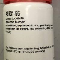 Sigma货号A9731-5g人白蛋白13611631389上海睿安生物