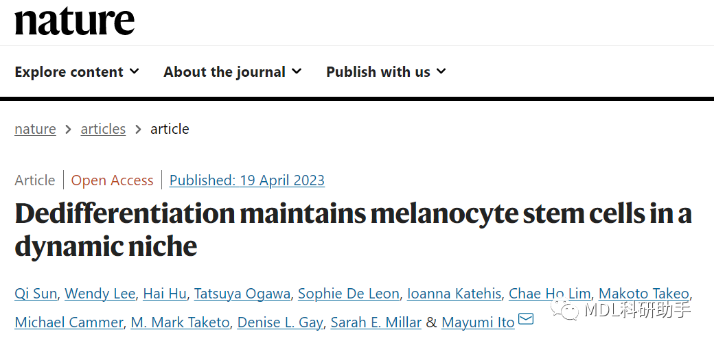 白发转黑将变成可能 ！Nature研究结果揭示白发原因