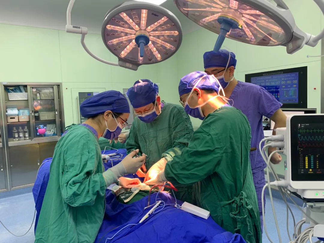 江西省儿童医院成功为八月大男宝实施睾丸肿瘤切除术