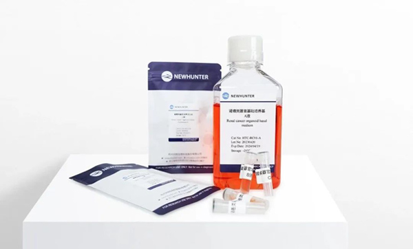 成功率稳超90% | 环特自研试剂盒让肾癌类器官培养更简单