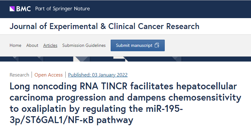 好物上新 | miRNA pulldown-Protein Kit