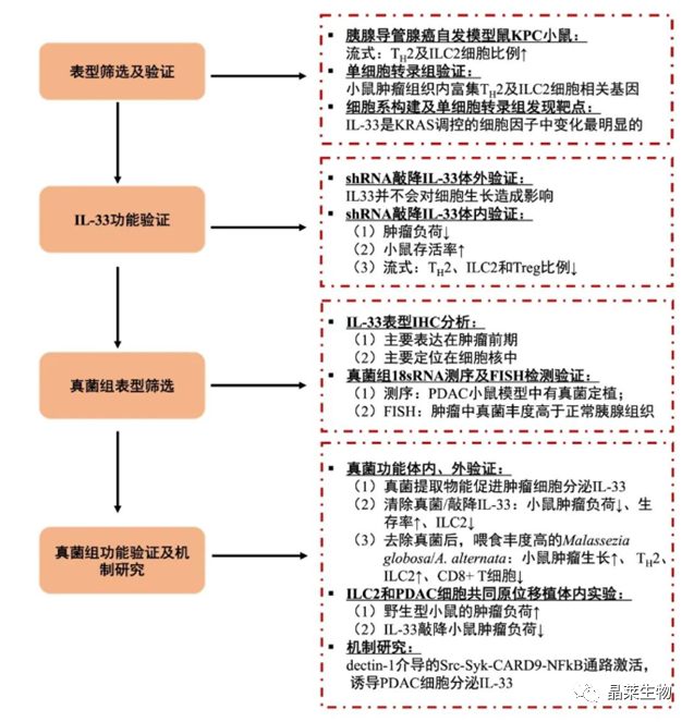 新闻图片2