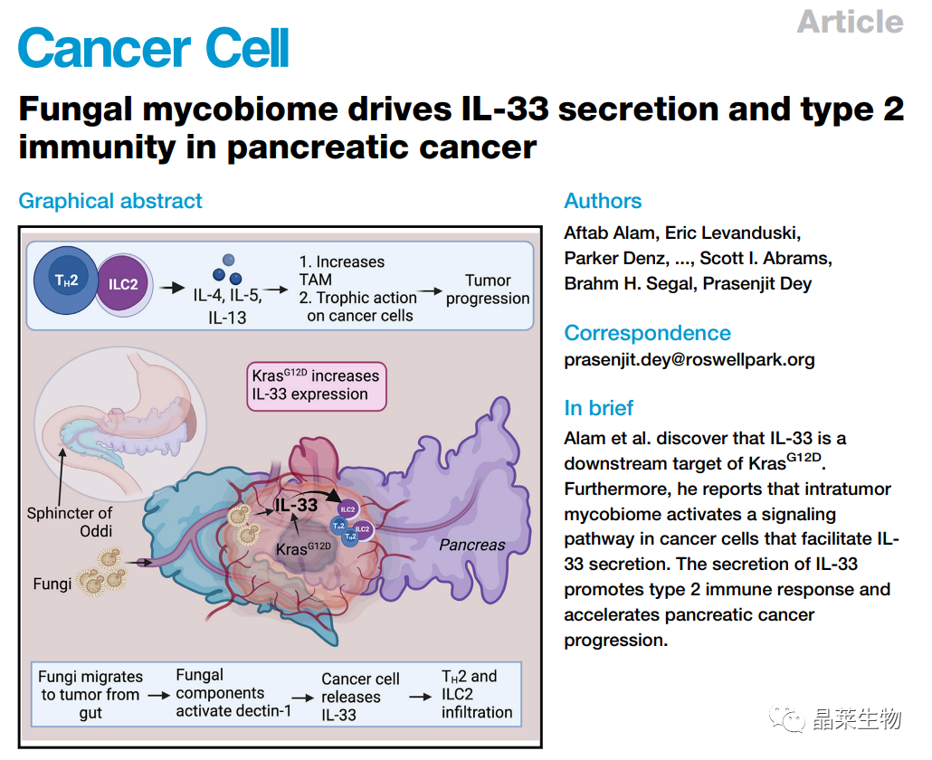 国自然热点 “免疫调控” 研究之真菌菌群驱动胰腺癌分泌IL-33并促进2型免疫