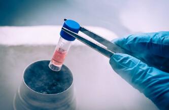 细胞培养的基本步骤与培养细胞被污染清除方法