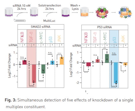 荧光素酶检测进阶啦 ,6 重荧光素酶分析用上了吗?