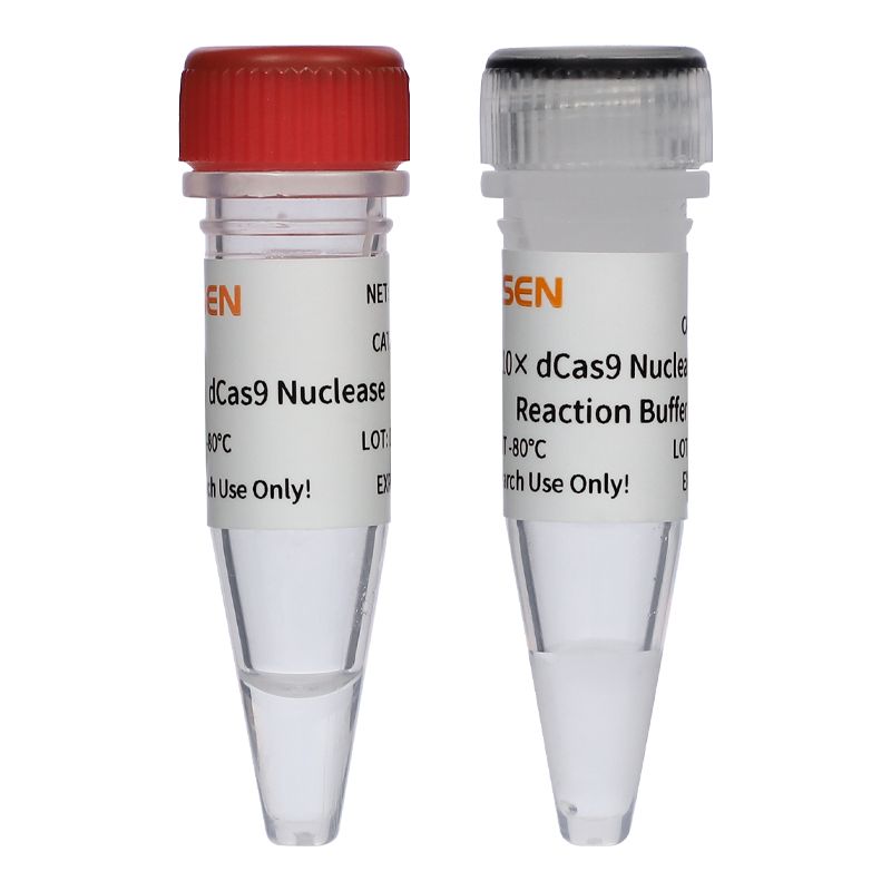 dCas9核酸酶 dCas9 Nuclease