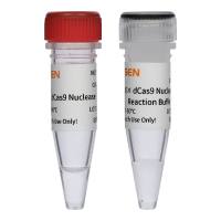 dCas9核酸酶 dCas9 Nuclease