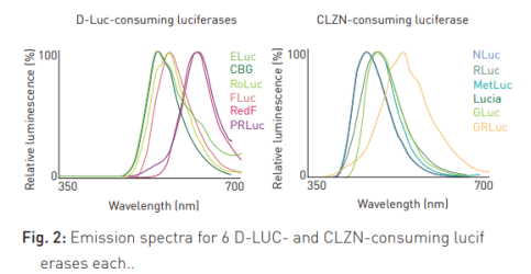 荧光素酶检测进阶啦 ,6 重荧光素酶分析用上了吗?