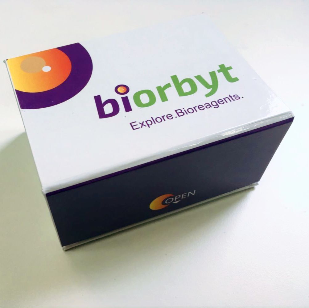 Mitochondrial membrane potential assay kit with JC-1试剂盒，orb1566776，biorbyt