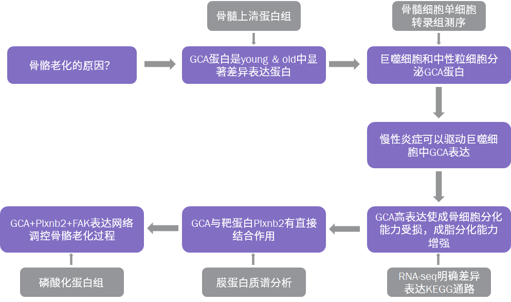 单细胞转录组如何与蛋白组学联用?一文 get 研究思路