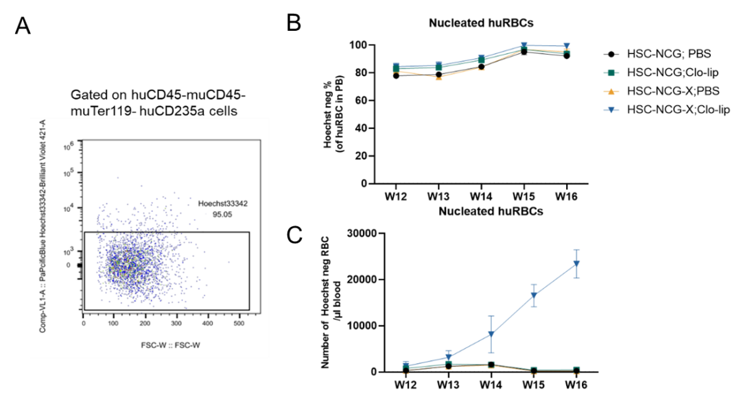 红细胞疾病药研:谁懂红系之痛,NCG-X小鼠乘风破浪越“关山”