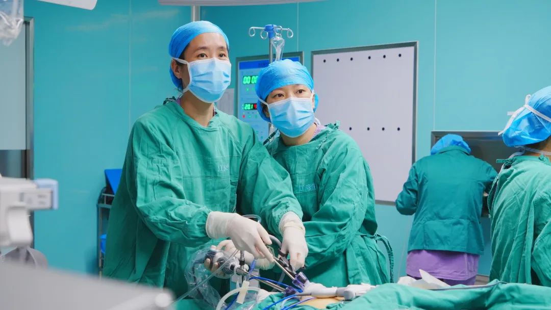 在春天播种希望！沉浸式打卡江湾「花园」医院