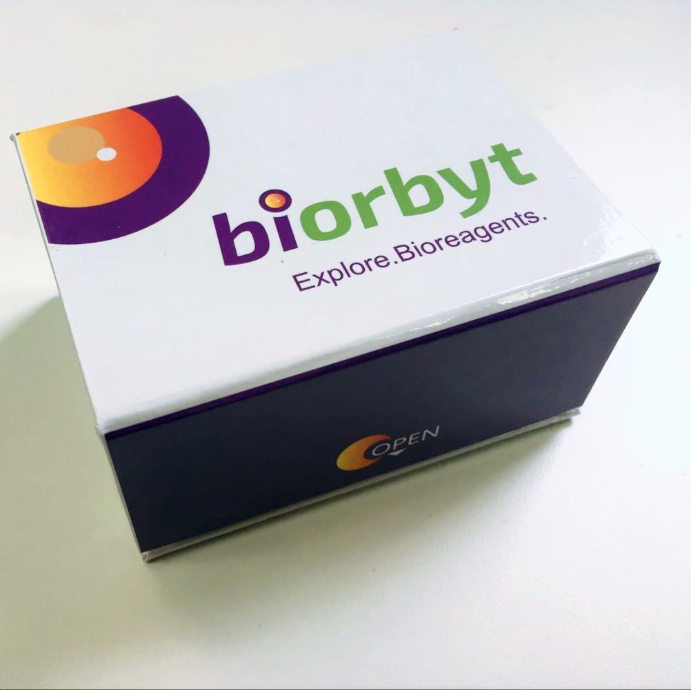 Zebrafish IL1β ELISA Kit试剂盒，orb1496455，biorbyt