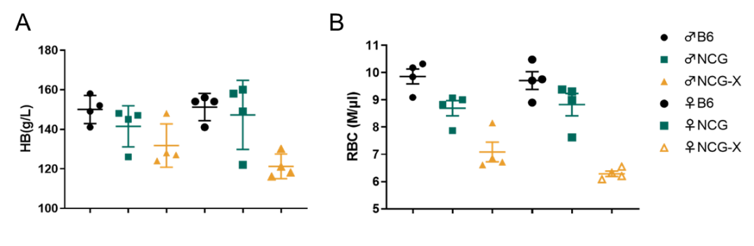 红细胞疾病药研:谁懂红系之痛,NCG-X小鼠乘风破浪越“关山”