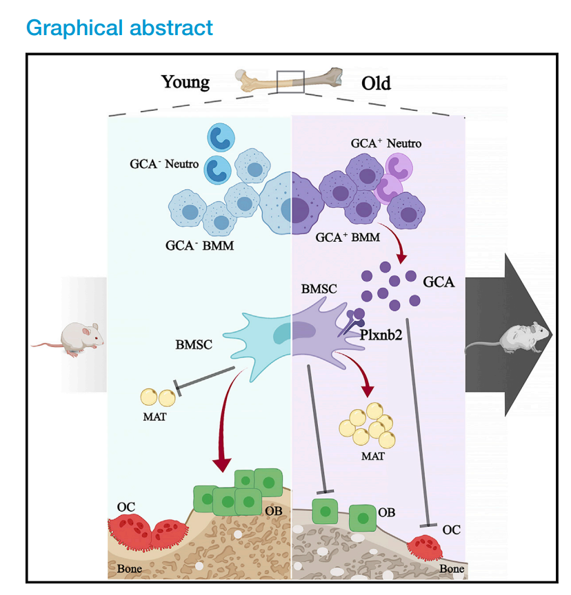 单细胞转录组如何与蛋白组学联用?一文 get 研究思路
